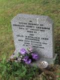 image of grave number 500766